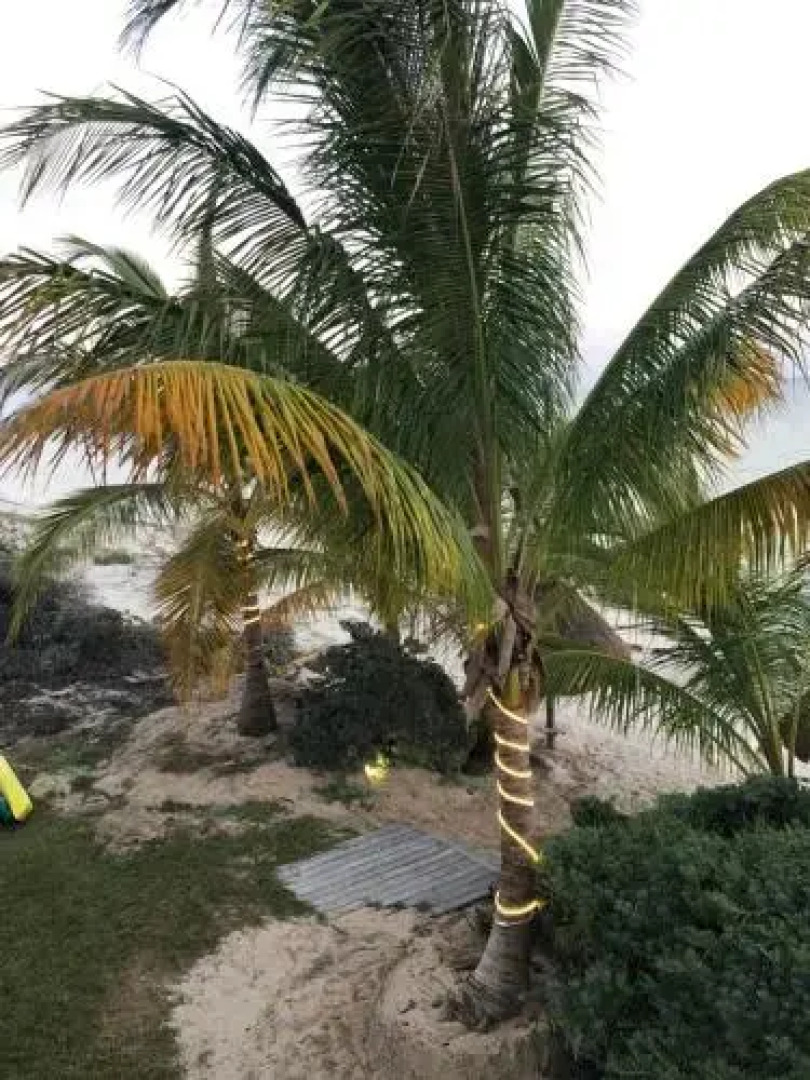 Beachfront Villa Solarium Garden House 1