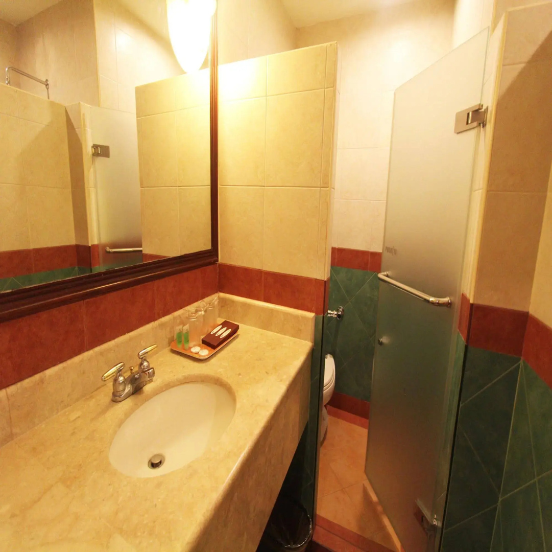 Sarrosa International Hotel and Residential Suites
