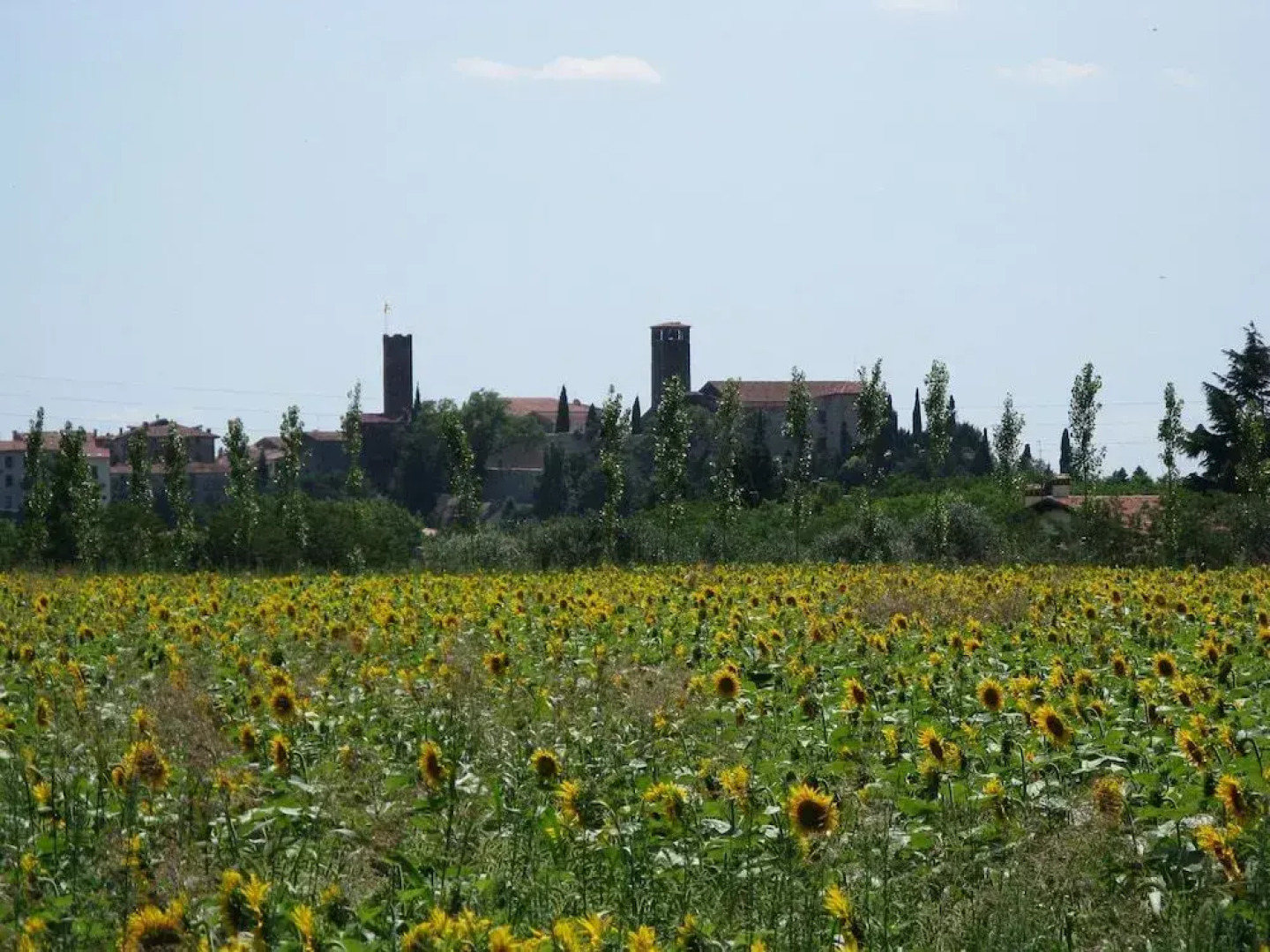 Country Club Da Cesco