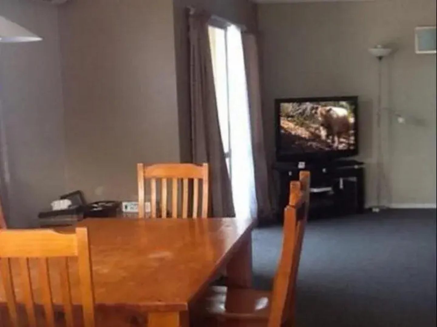Kawhia Motel