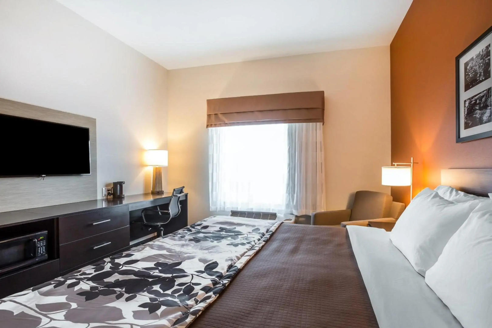 Sleep Inn Cartersville - Emerson Lake Point