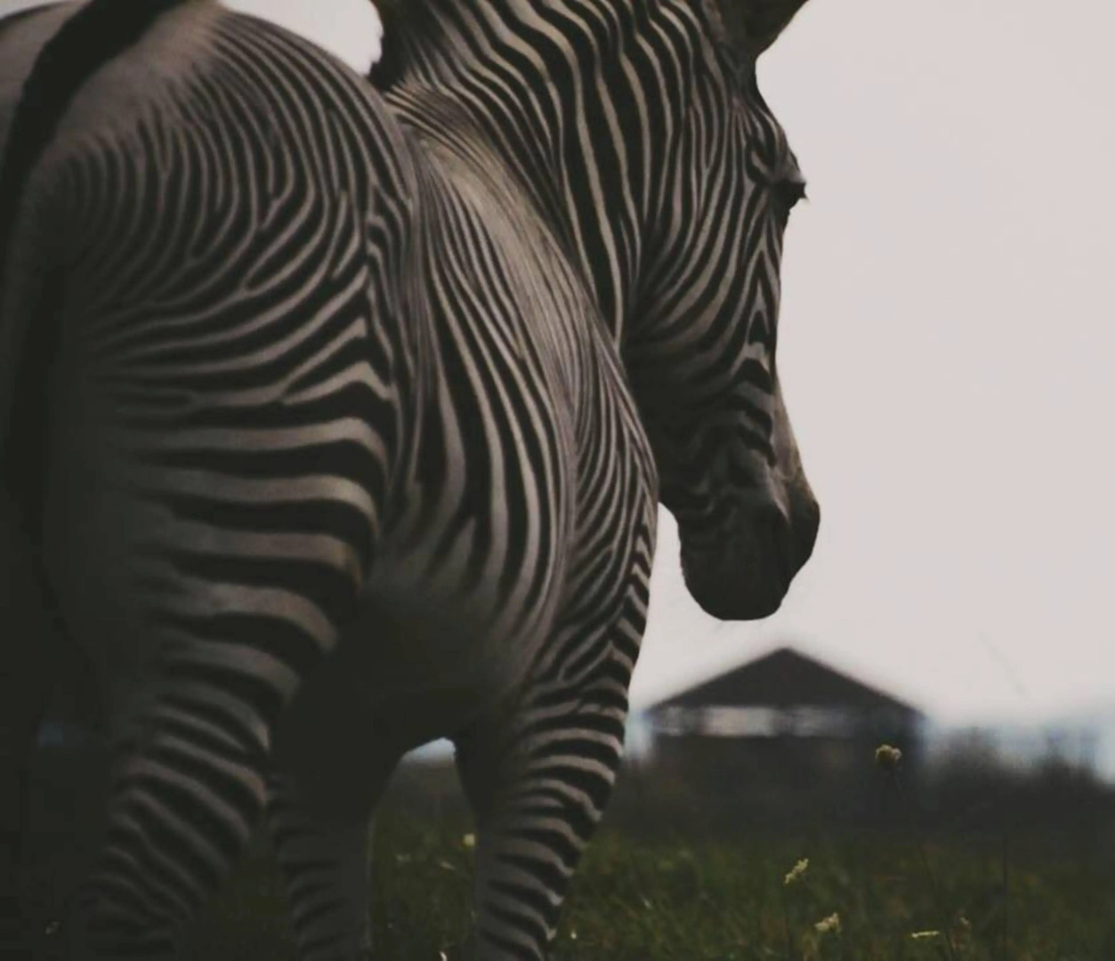 HOLIDAY INN EXPRESS & SUITES ZANESVILLE NORTH by IHG