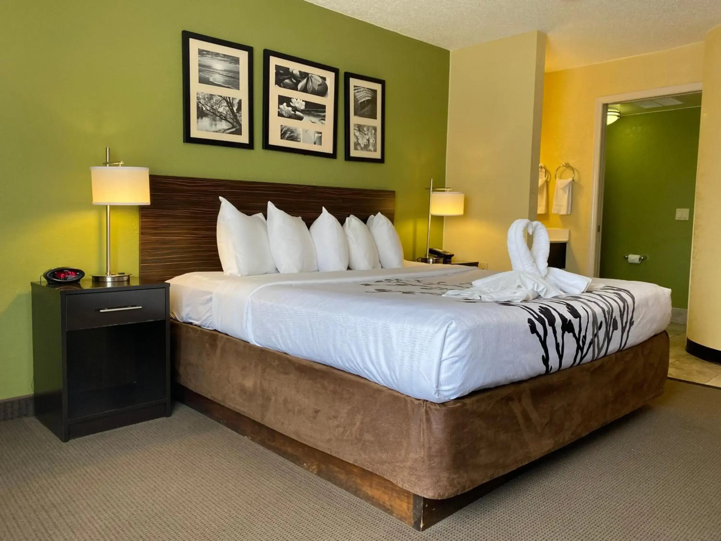 Sleep Inn & Suites Grand Rapids Southeast - Kentwood