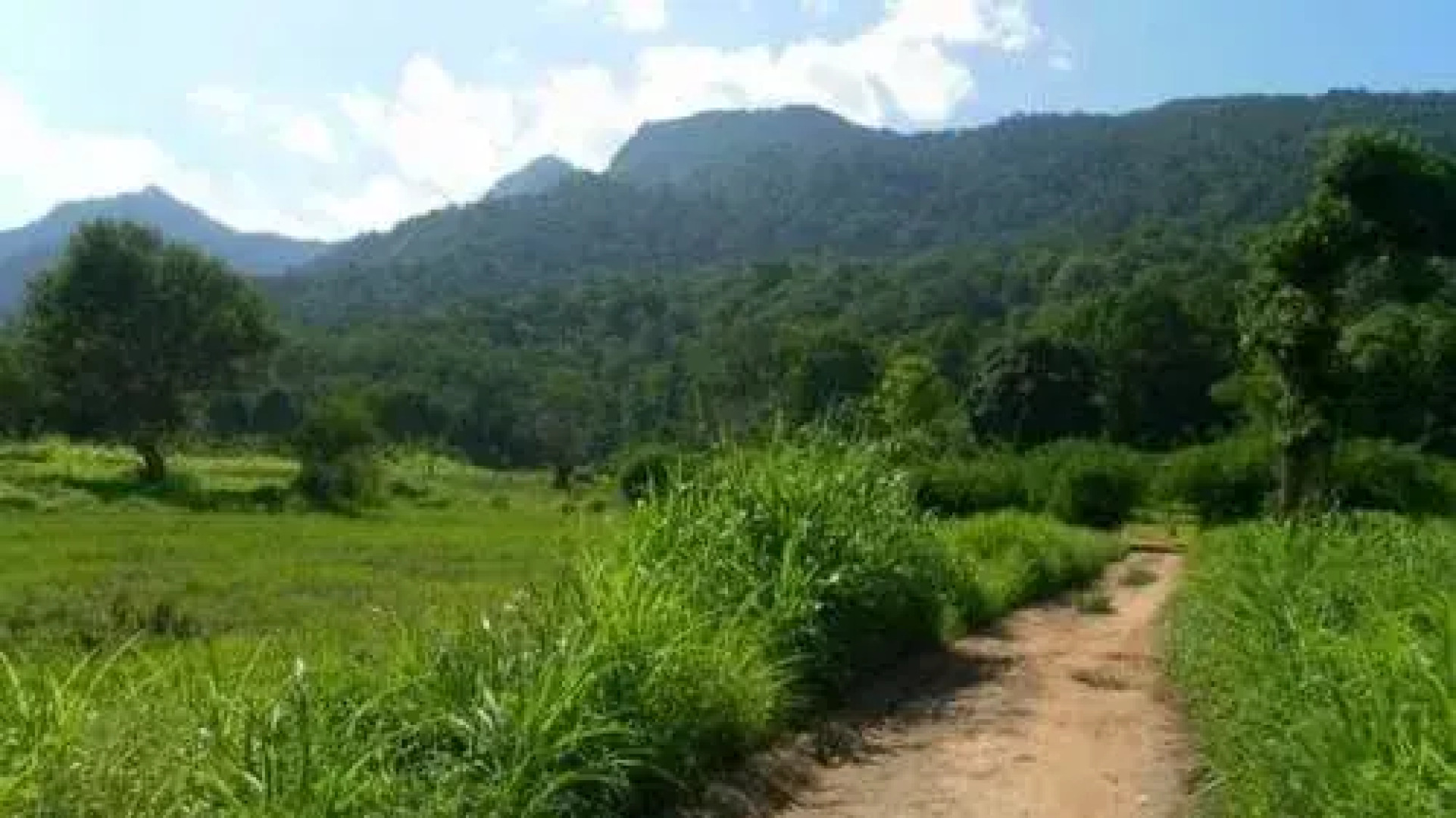 Udzungwa Forest Tented Camp