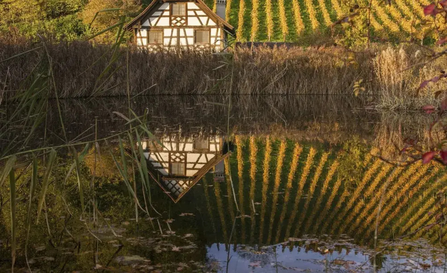 Stiftung Kartause Ittingen