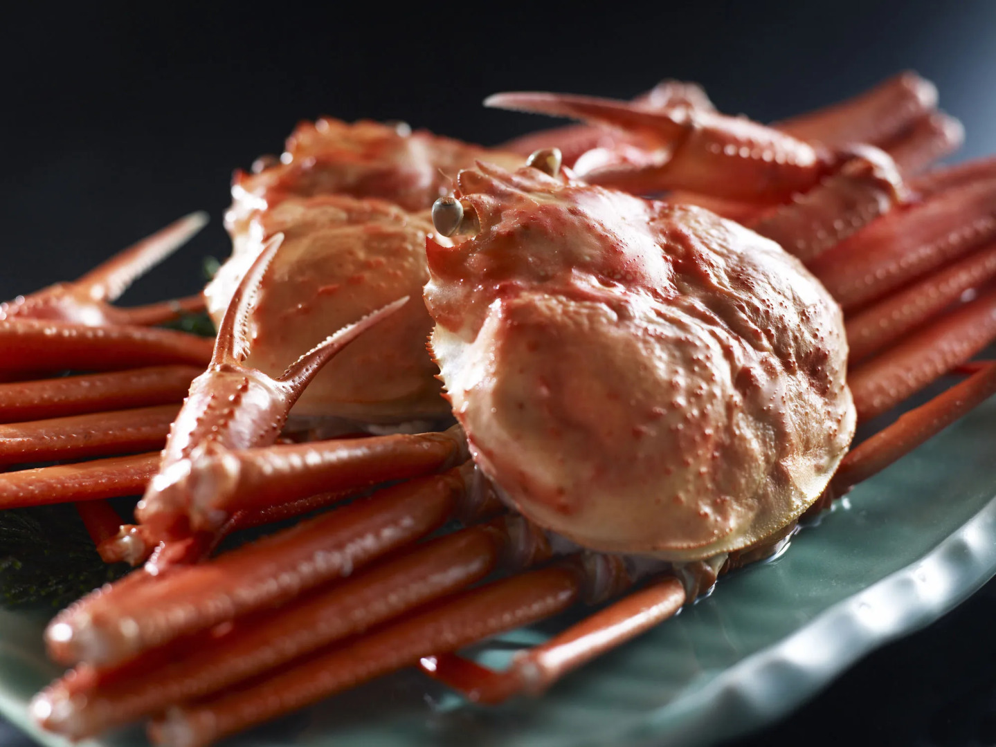 Nishimuraya Hotel Shogetsutei