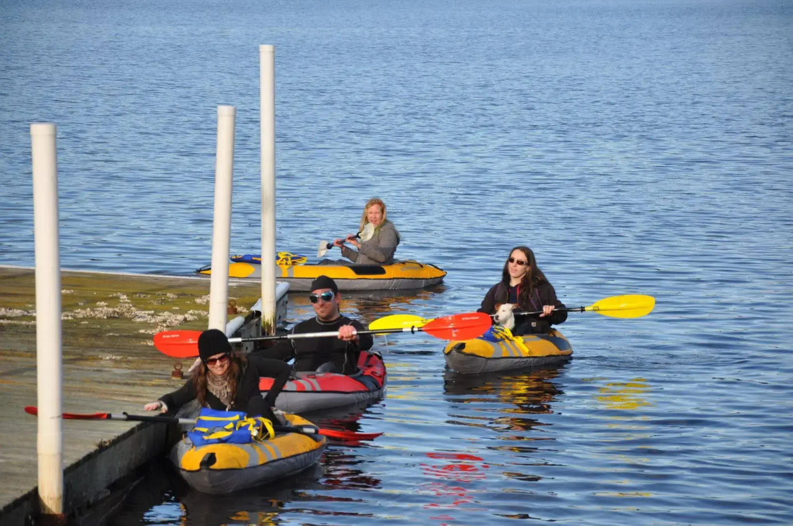 Birds of a Feather Victoria Oceanfront Studio Suites