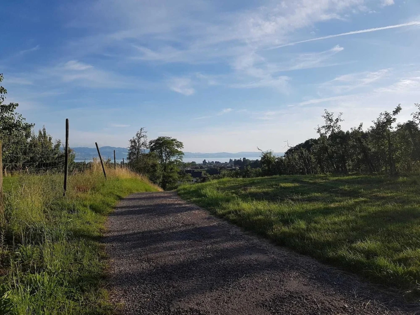 Stunning 1-bed Apartment in Bodolz Lake Constance