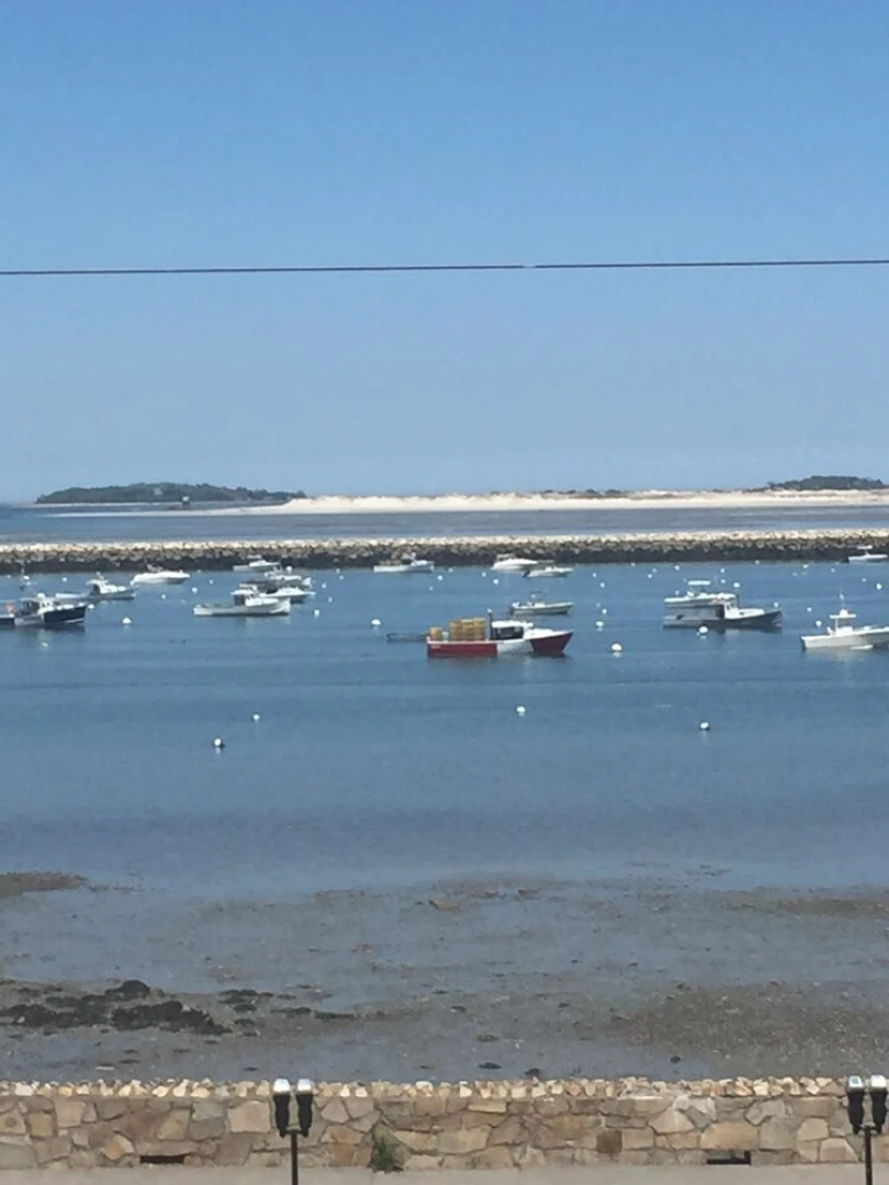 Bradford Inn And Suites