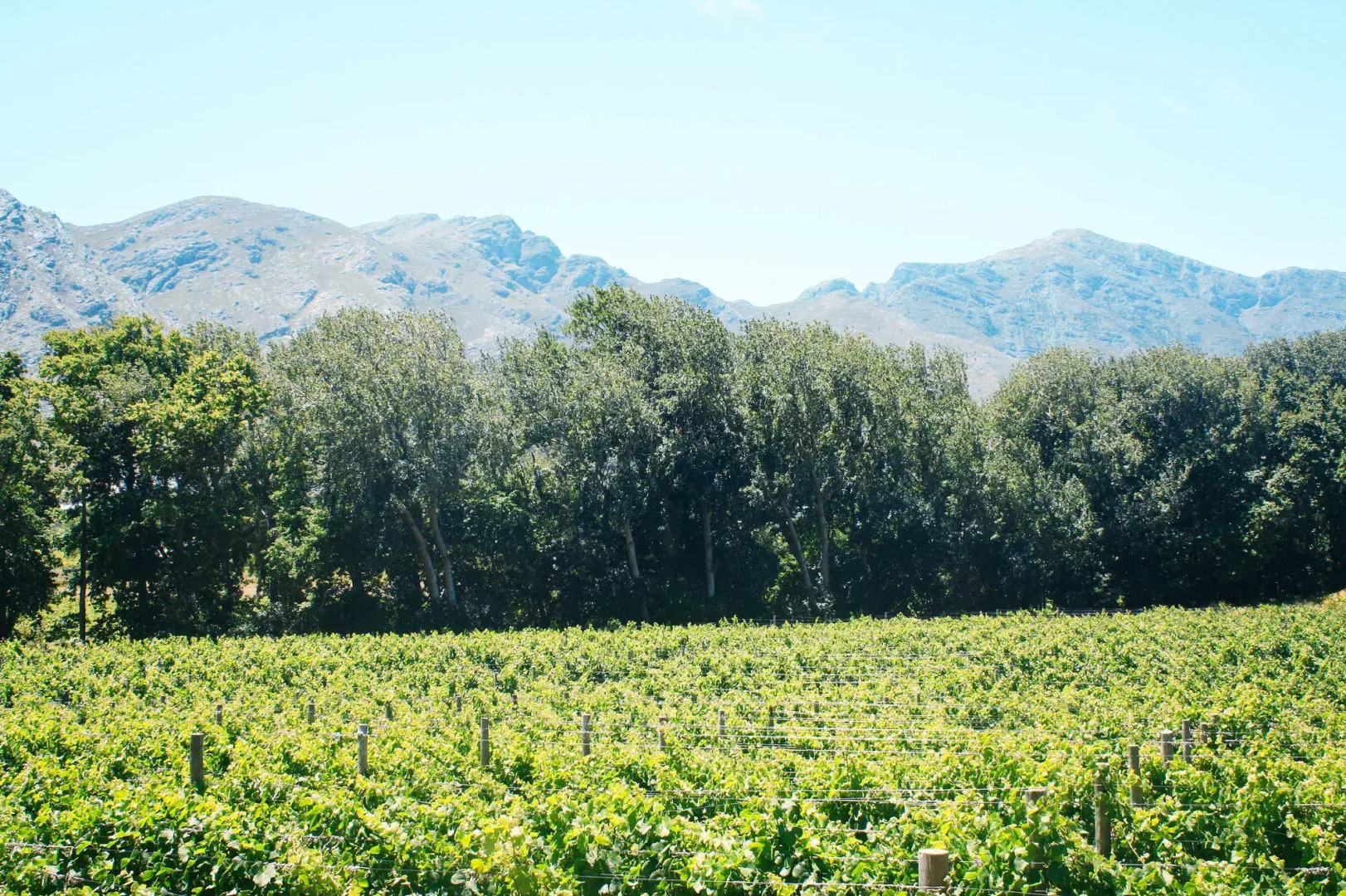 Basse Provence Country House