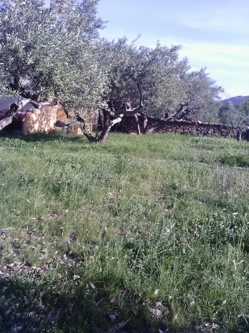 Apartment With 2 Bedrooms in Posada, With Enclosed Garden and Wifi - 2