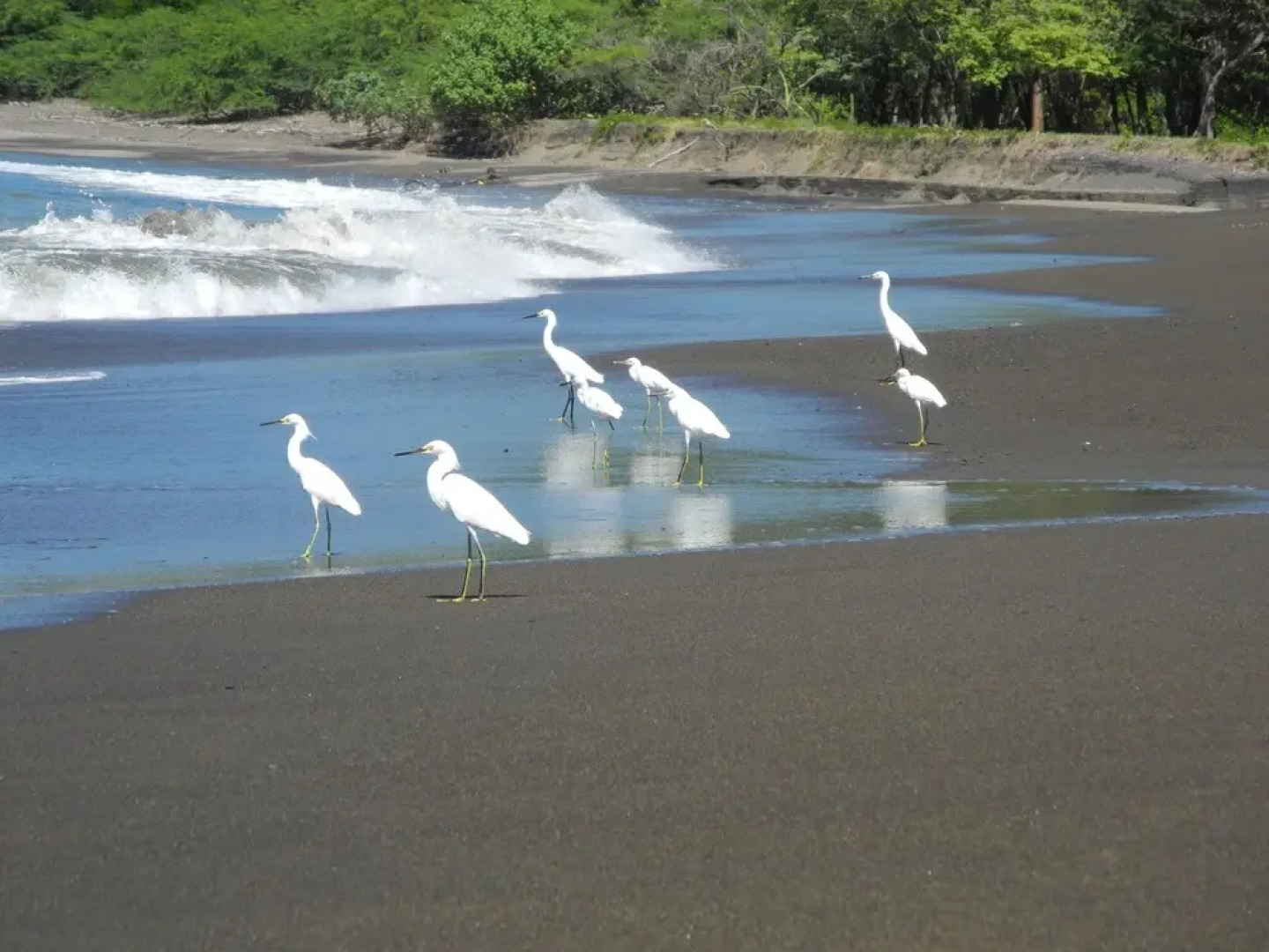 Casa del Sol Condominium