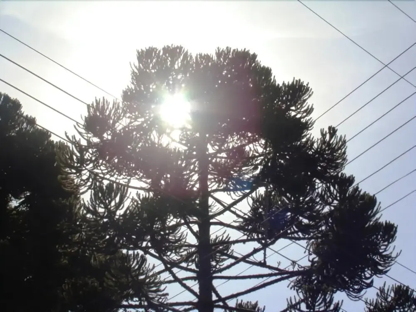 Aires de Monte Verde Hotel