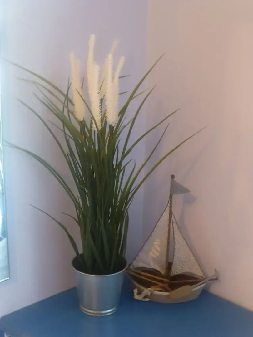 Seagull Cottage B&B