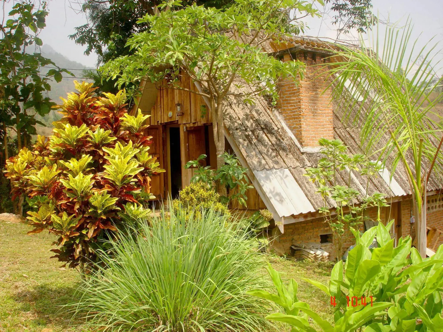 Jungle Zone