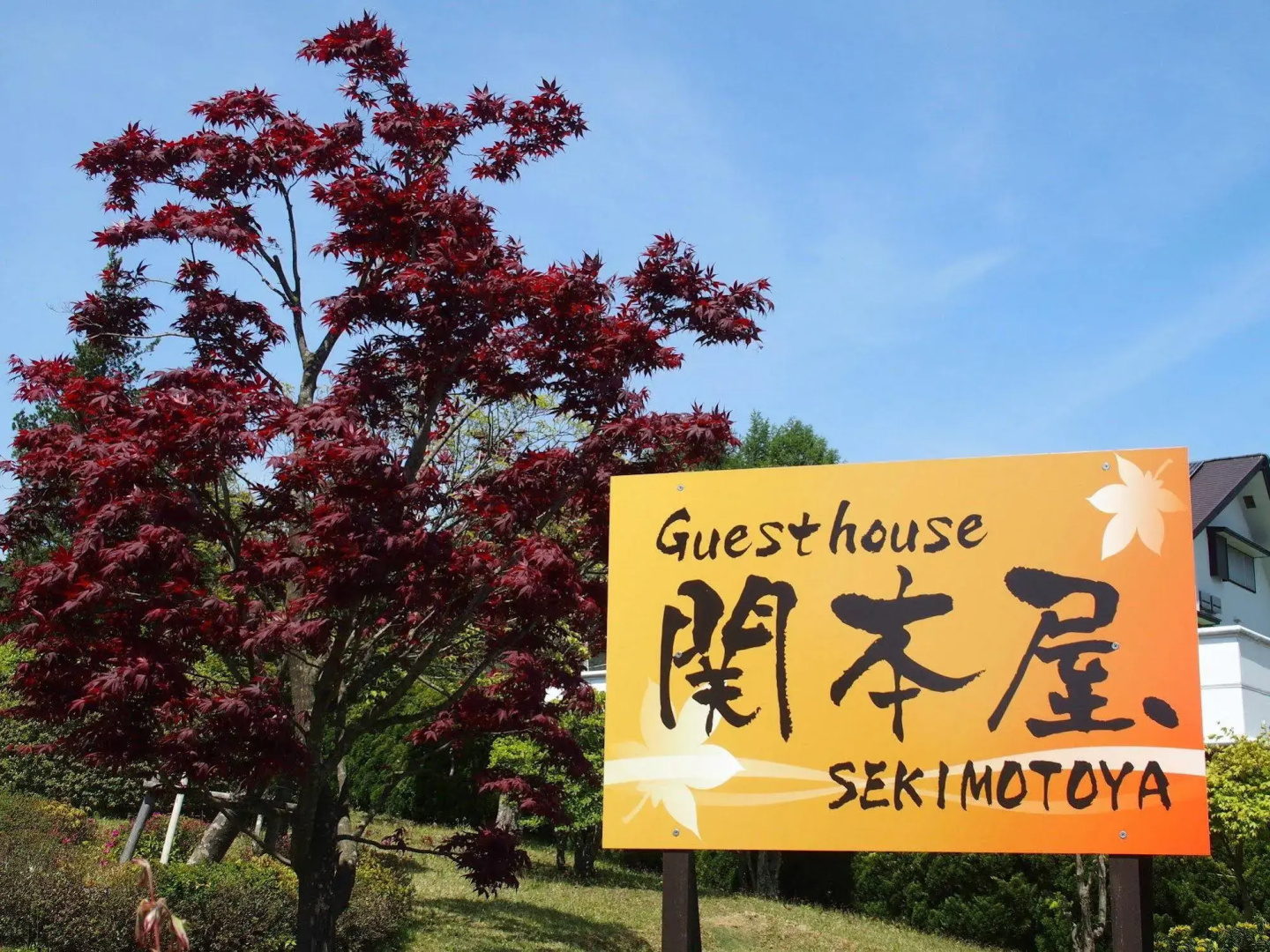 Sekimotoya