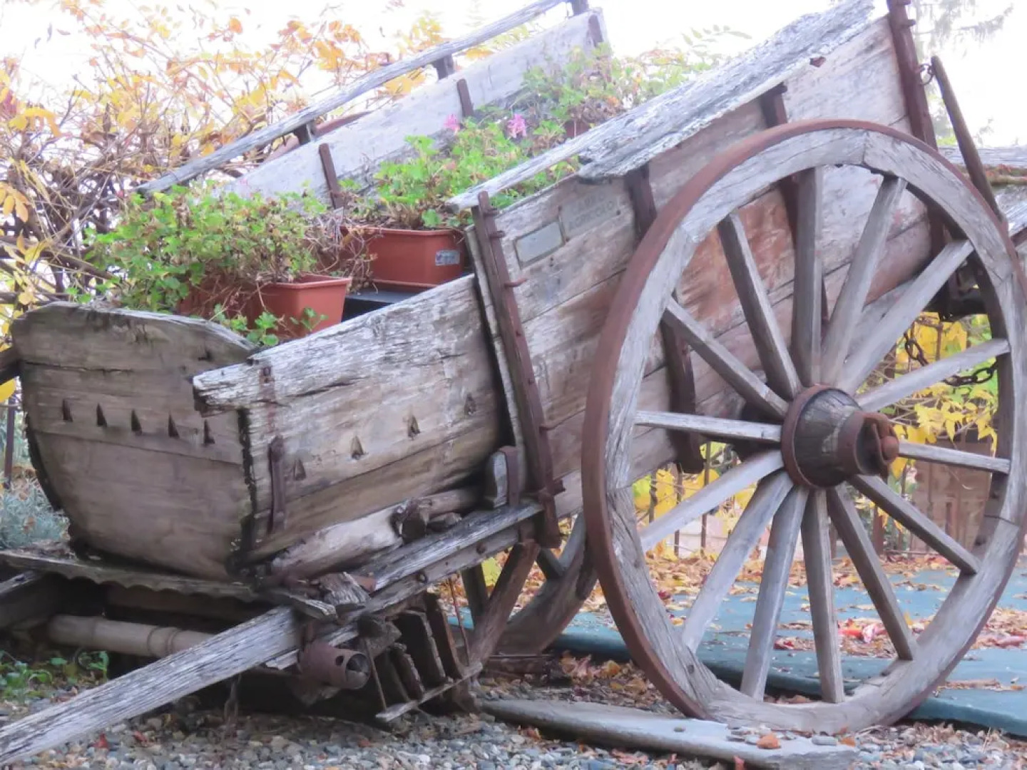 Relais Palazzo Paleologi - Secolo Xiv