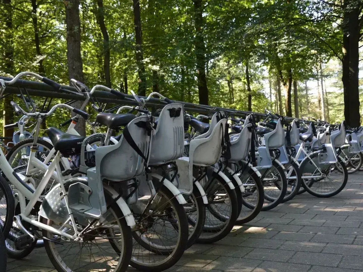 Chalet in Garderen With Fenced Garden