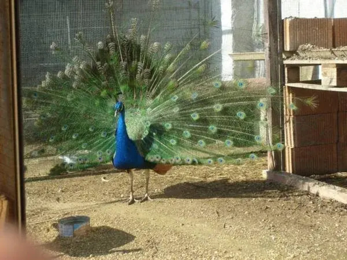 Señorío de Monterruiz