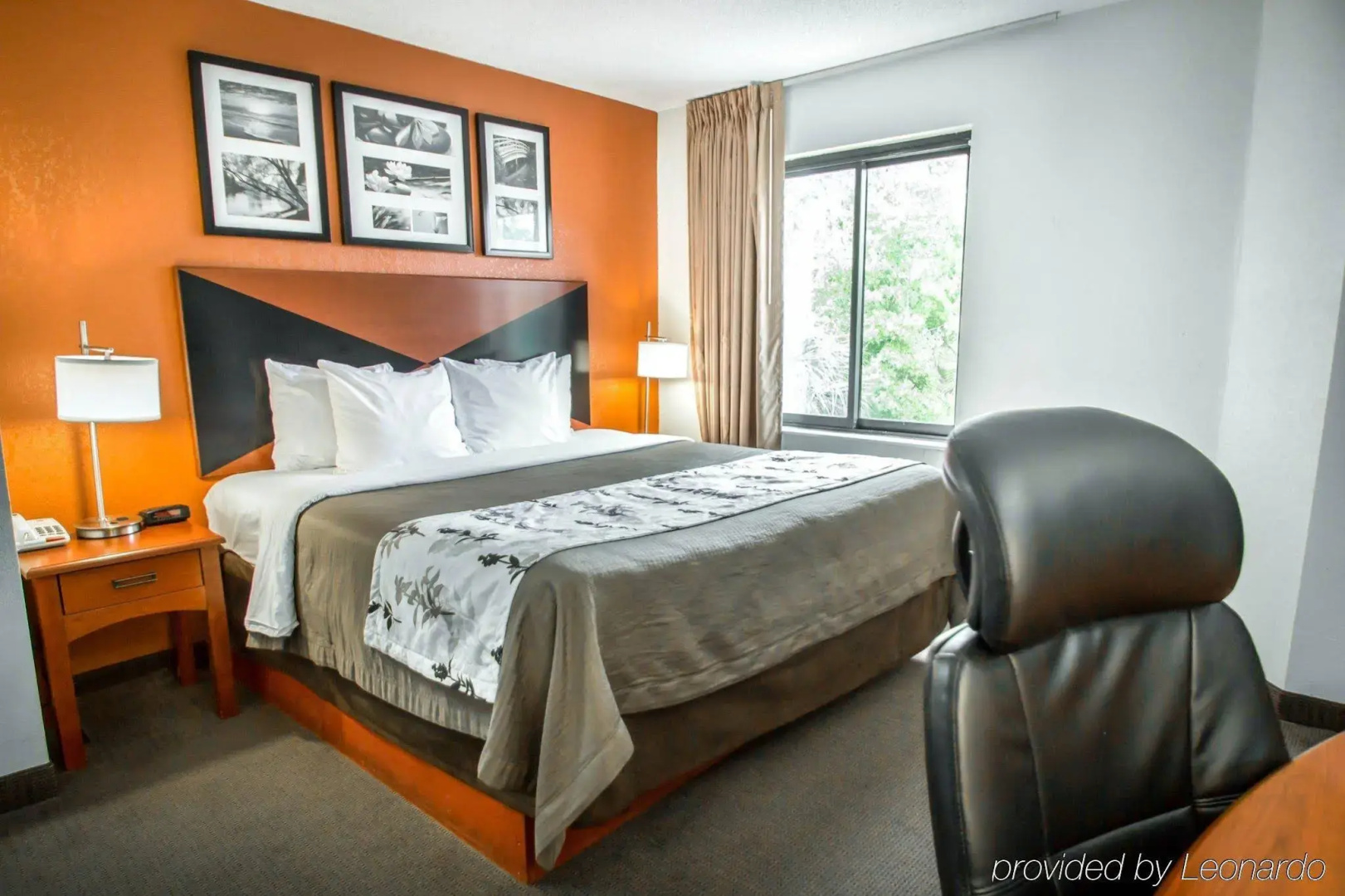 Sleep Inn Sarasota North