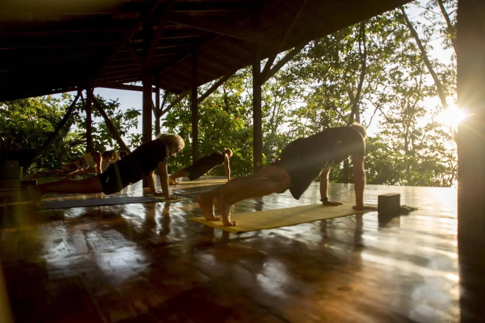 Tiskita Jungle Lodge