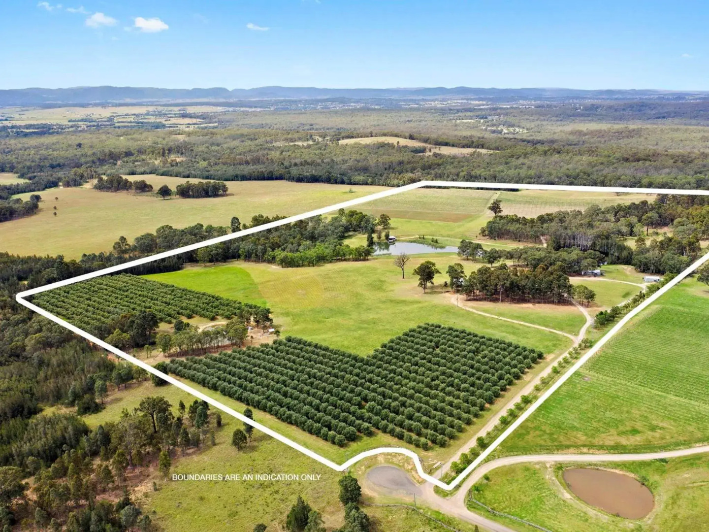 Block Eight 5 Gum Trees Luxe Villa