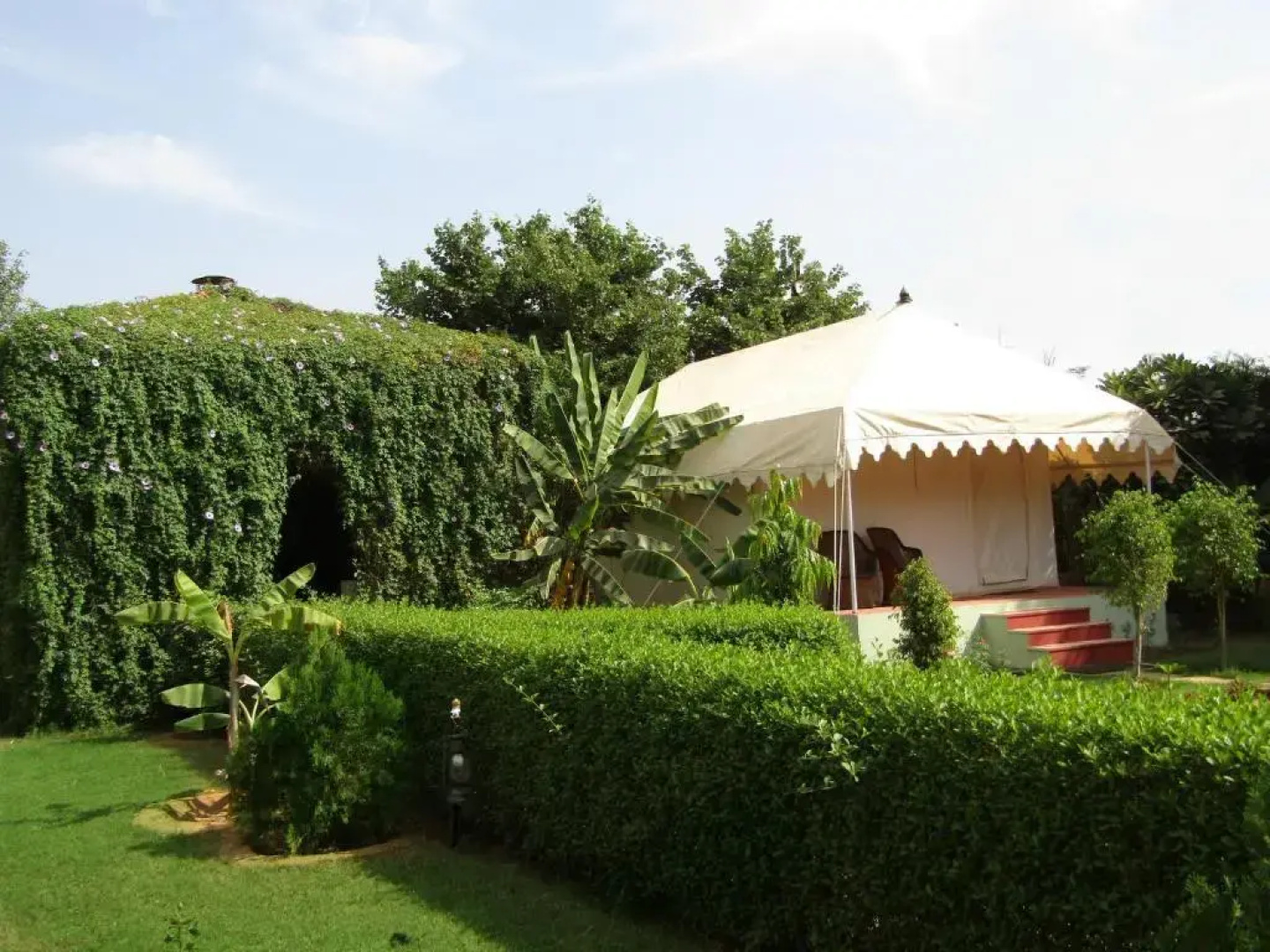 Jungle Retreat Ranthambore
