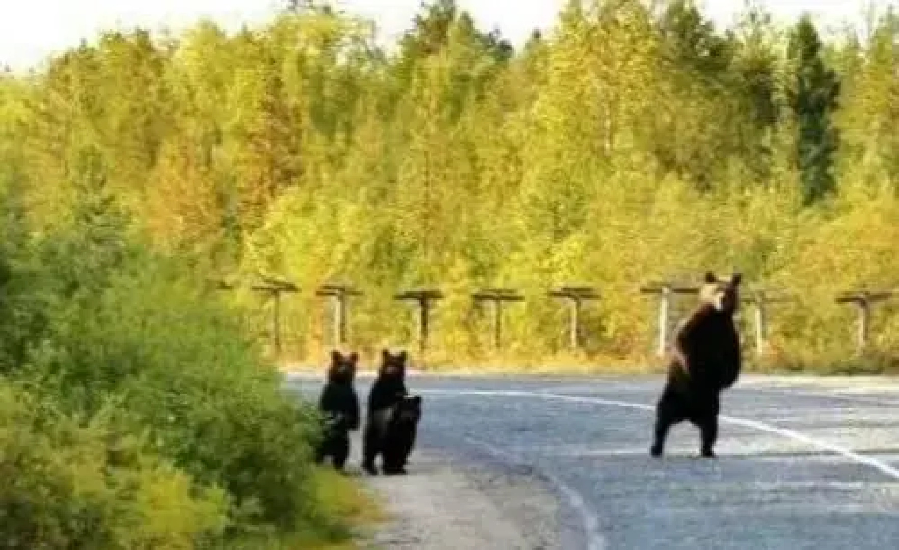 Agriturismo Miralago