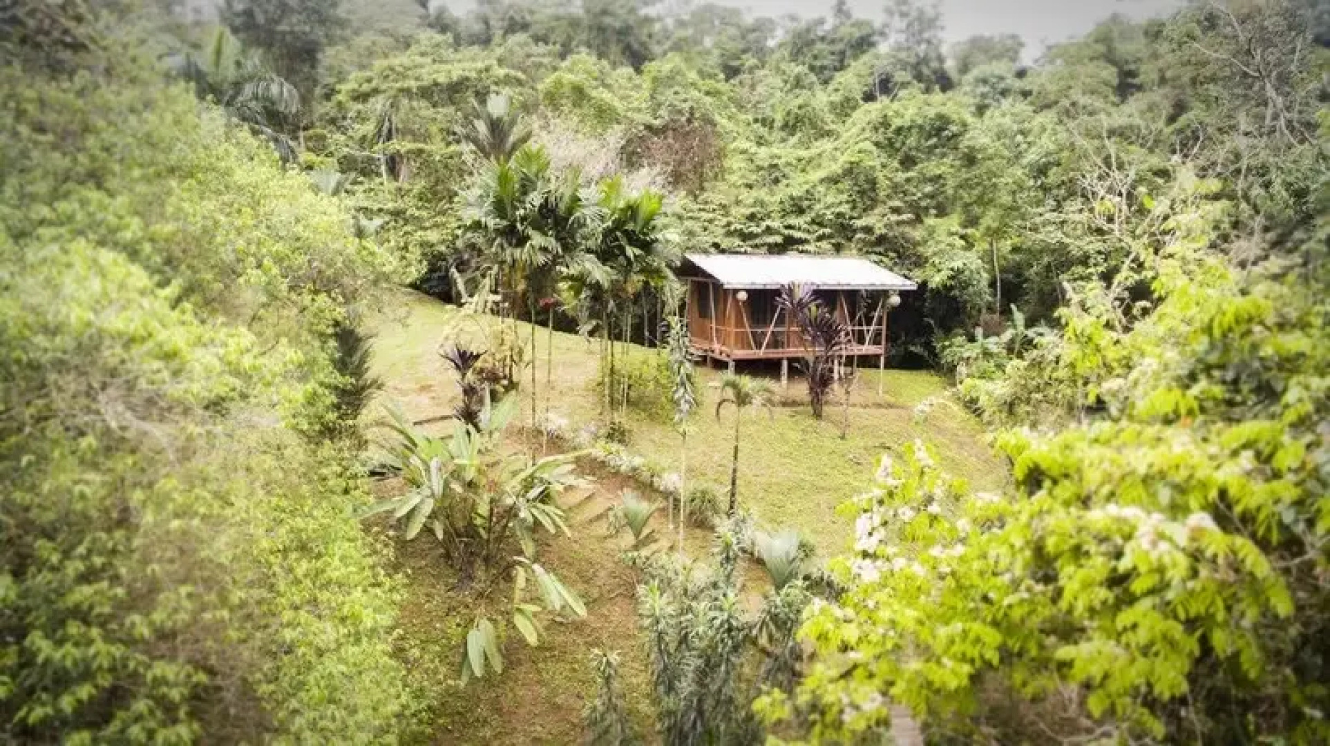 InterContinental The Grand New Delhi