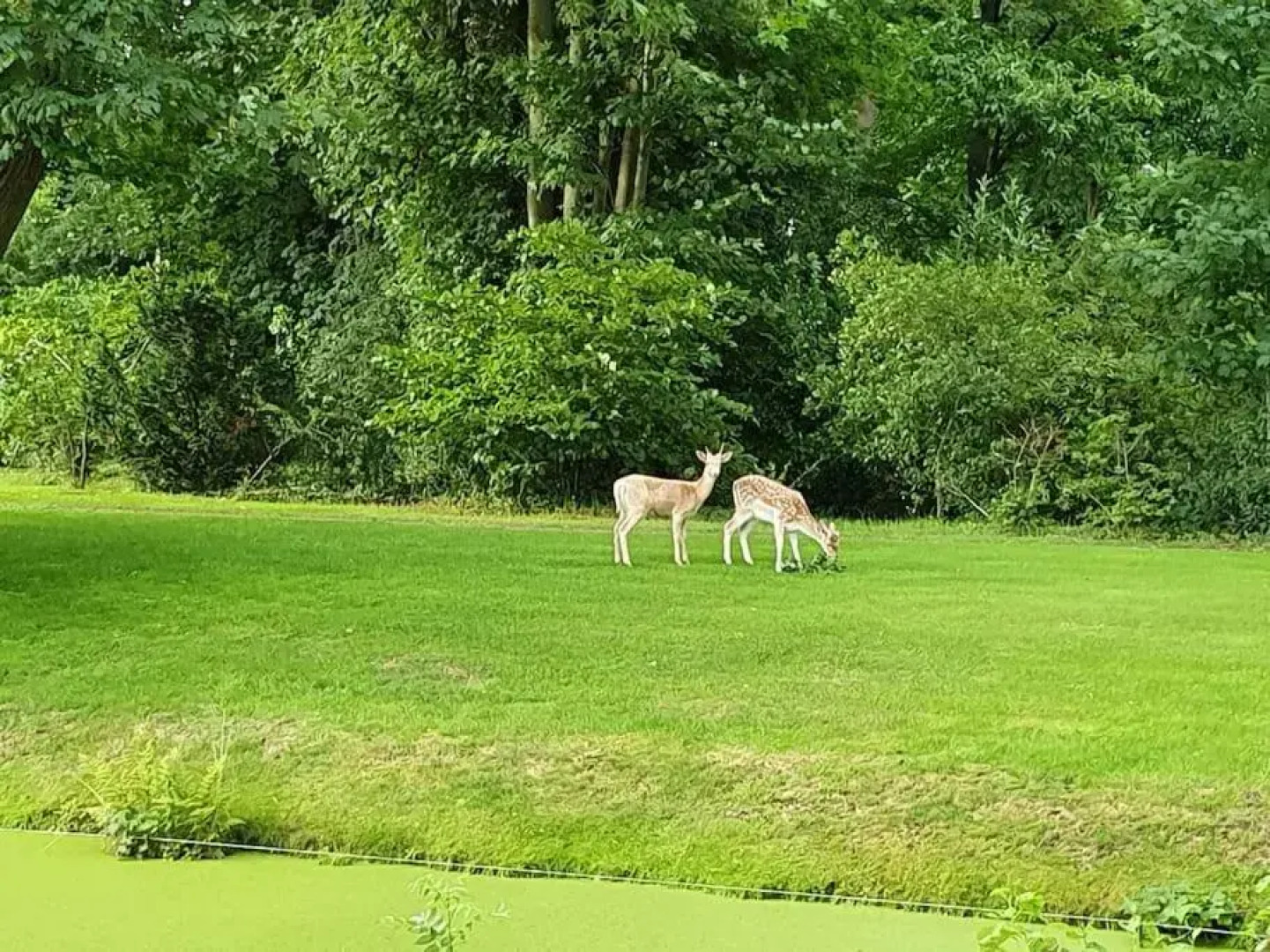 Jagershuis sinds 1724 op landgoed Princenhof