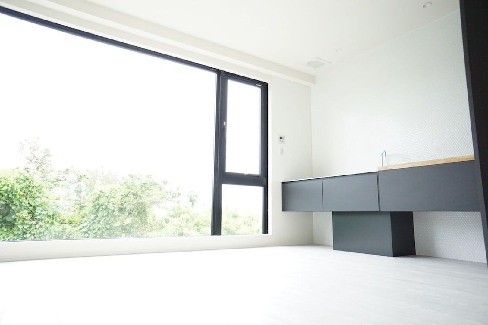 Blue Steak Wonder Senaha