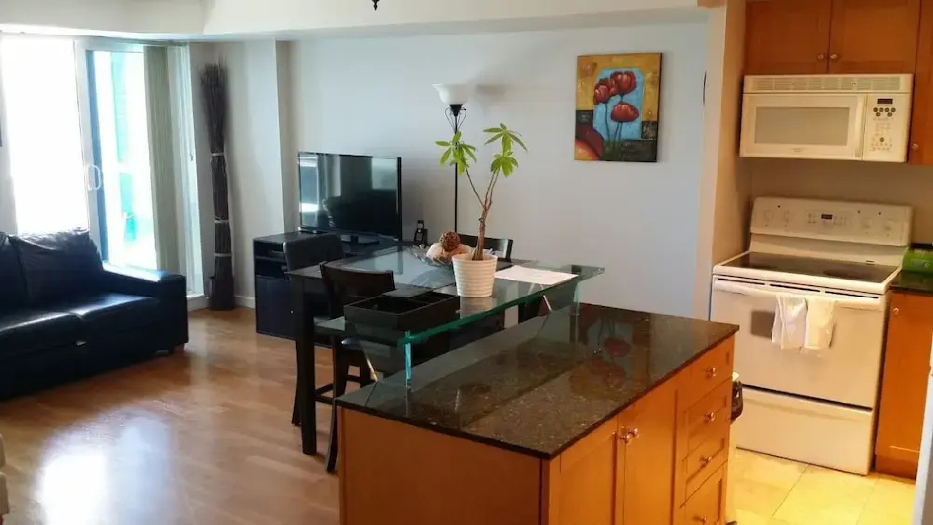 Pelican on the Harbour