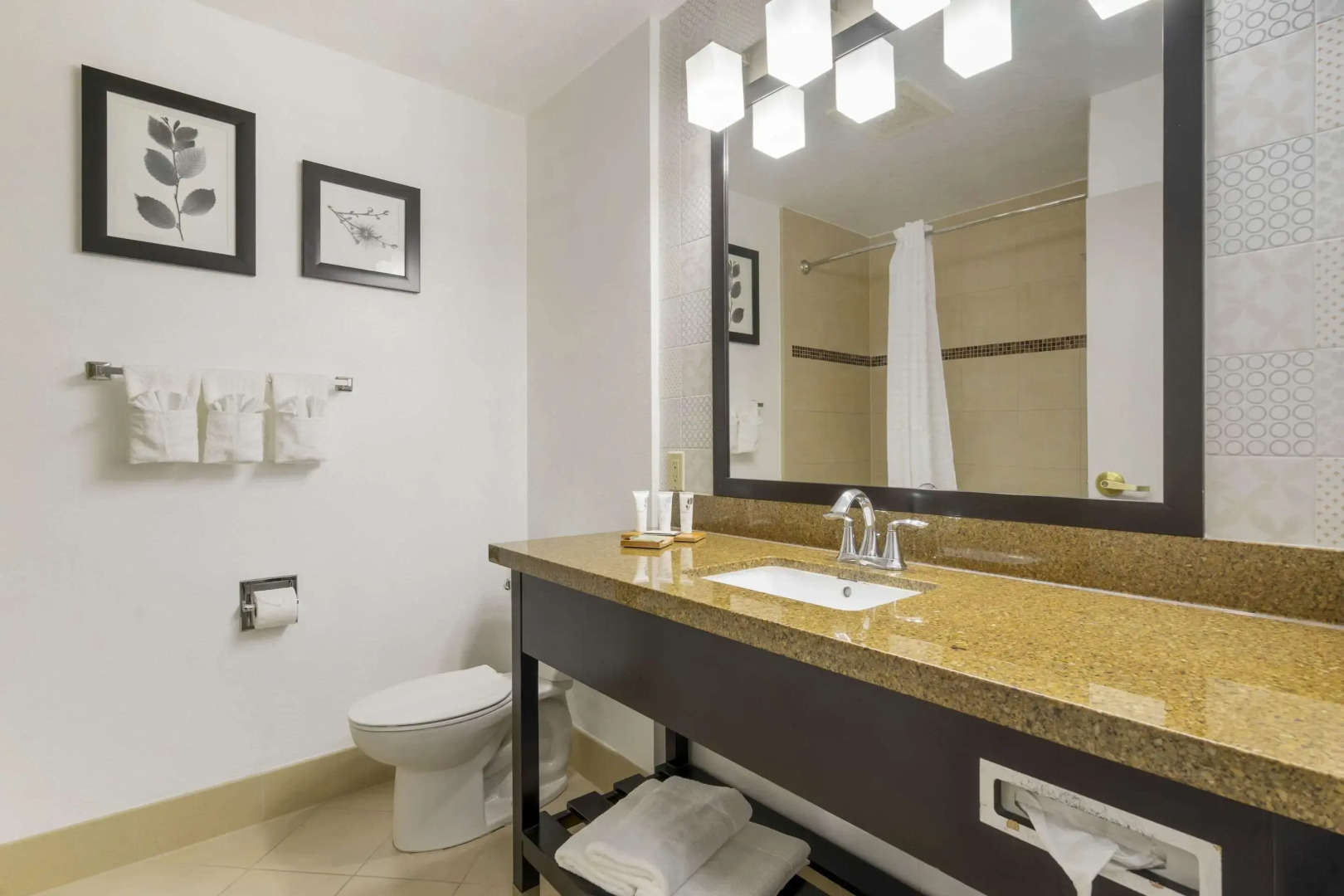 Country Inn & Suites by Radisson, Tampa Airport North, FL