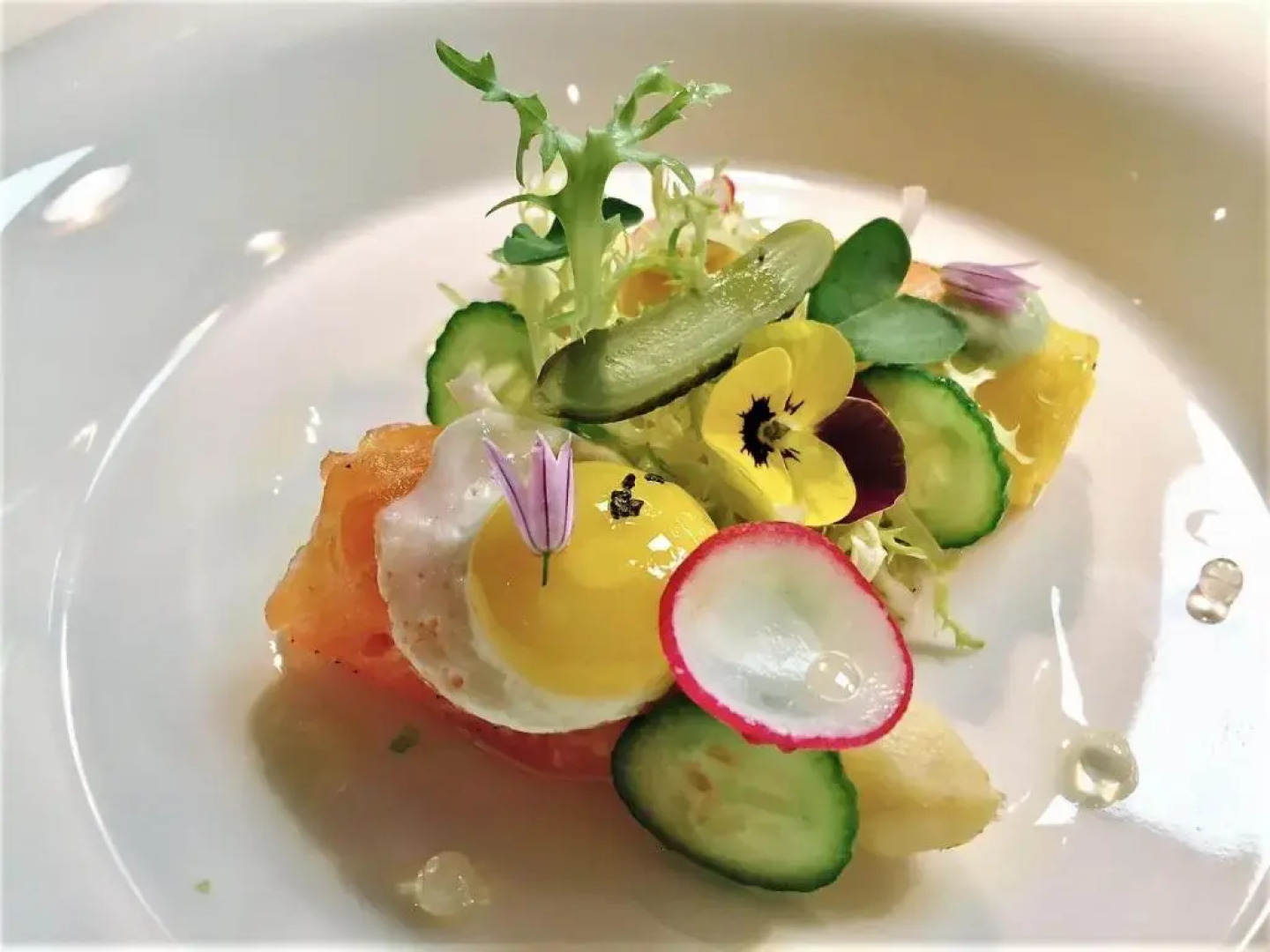 Hof van Alexander - Boutique Hotel