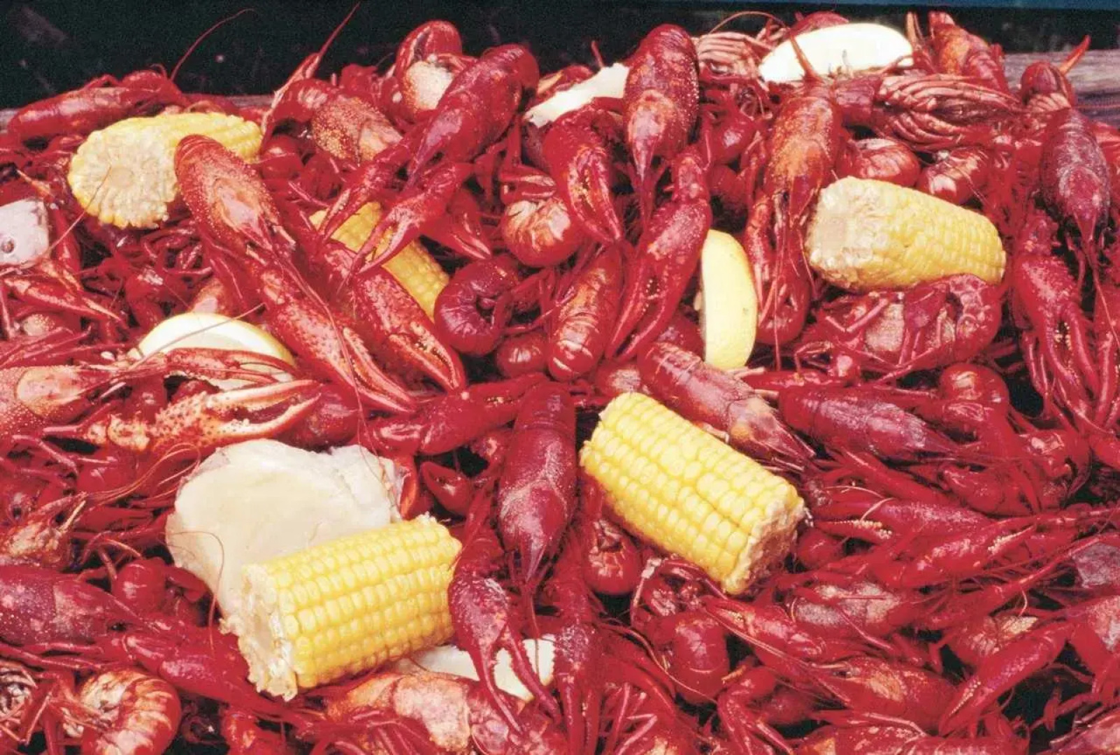 DoubleTree by Hilton Hotel Lafayette