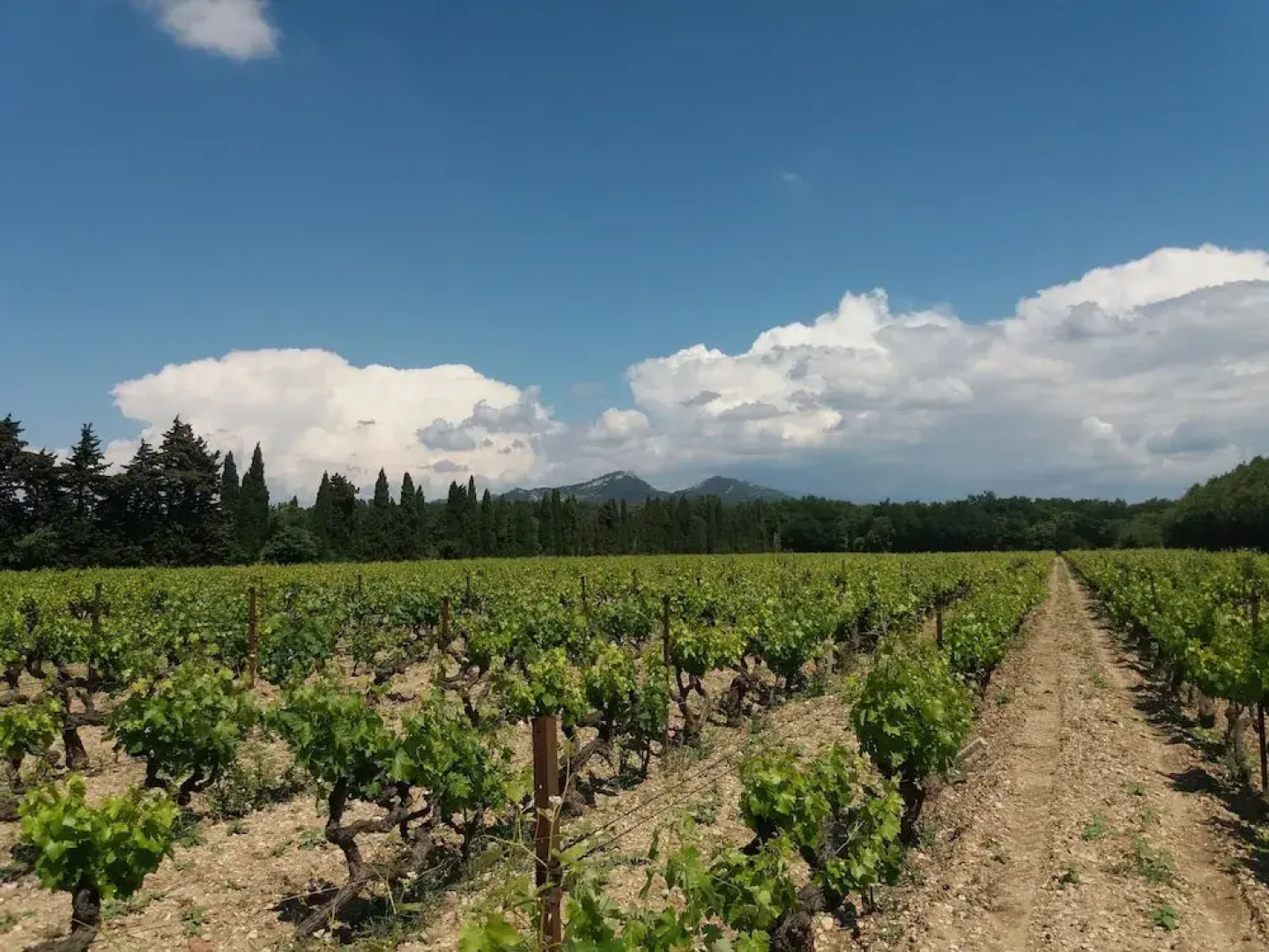 B&B Le Domaine de Tini