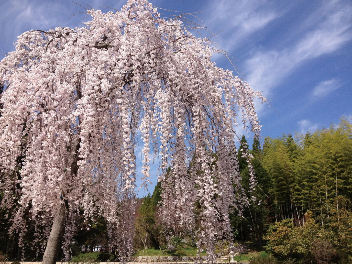 Hiroshima Airport Hotel