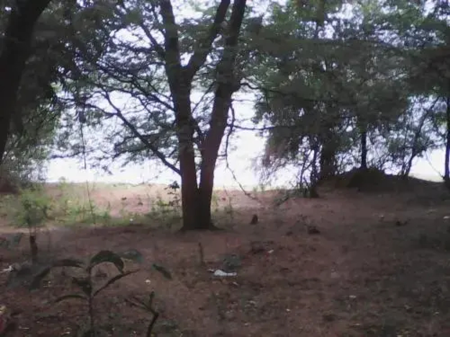 Wewdiya Holiday Home