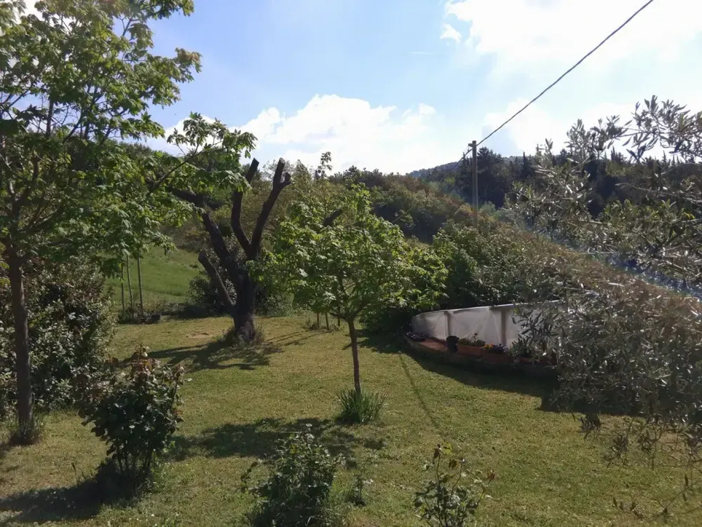 Agriturismo Bosimano