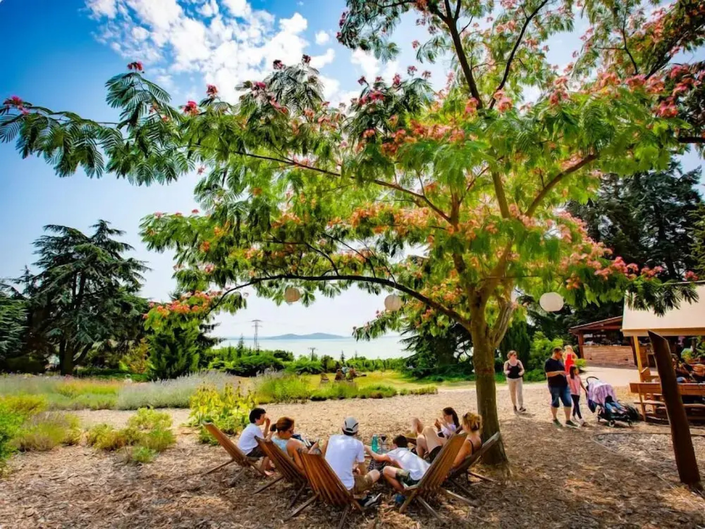 Z8 Prémium Apartman