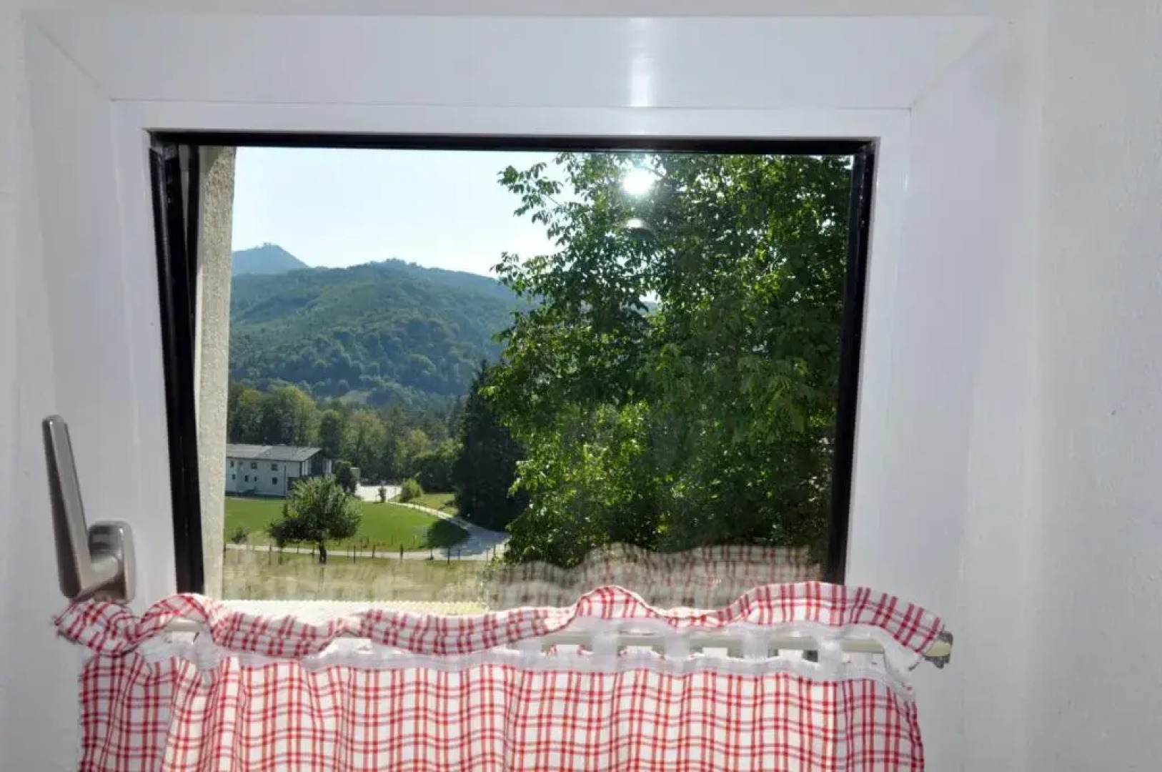 Mostheuriger Steyrdurchbruchalm