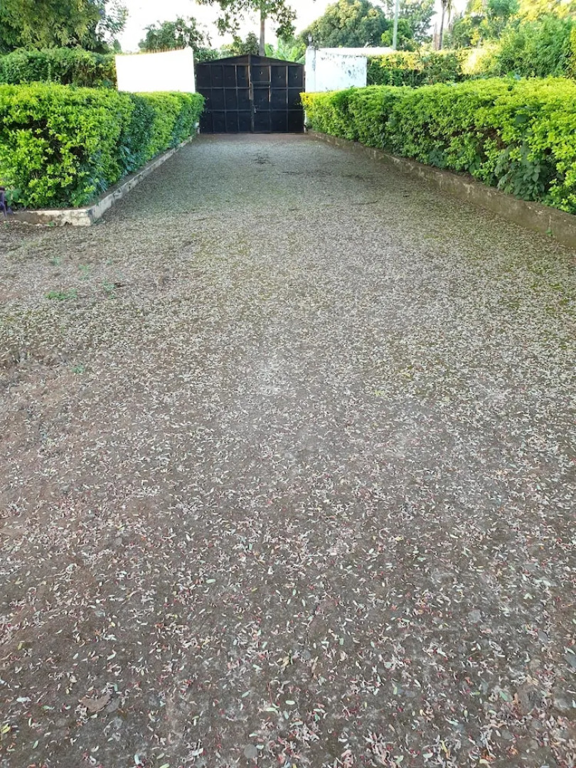 Shanty Town Doctor's Home