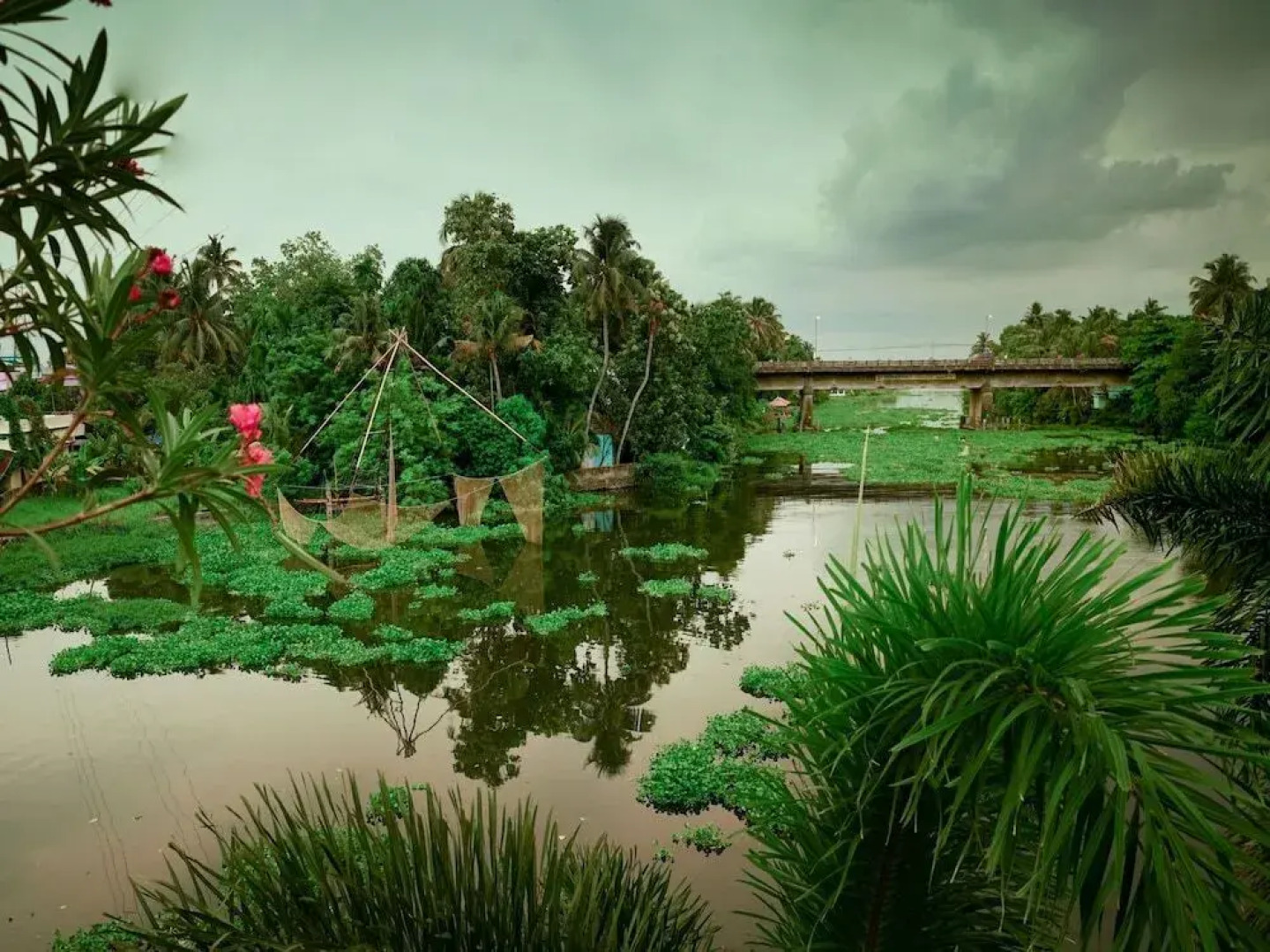 OYO 14514 Home Riverside Cottage Vyttila