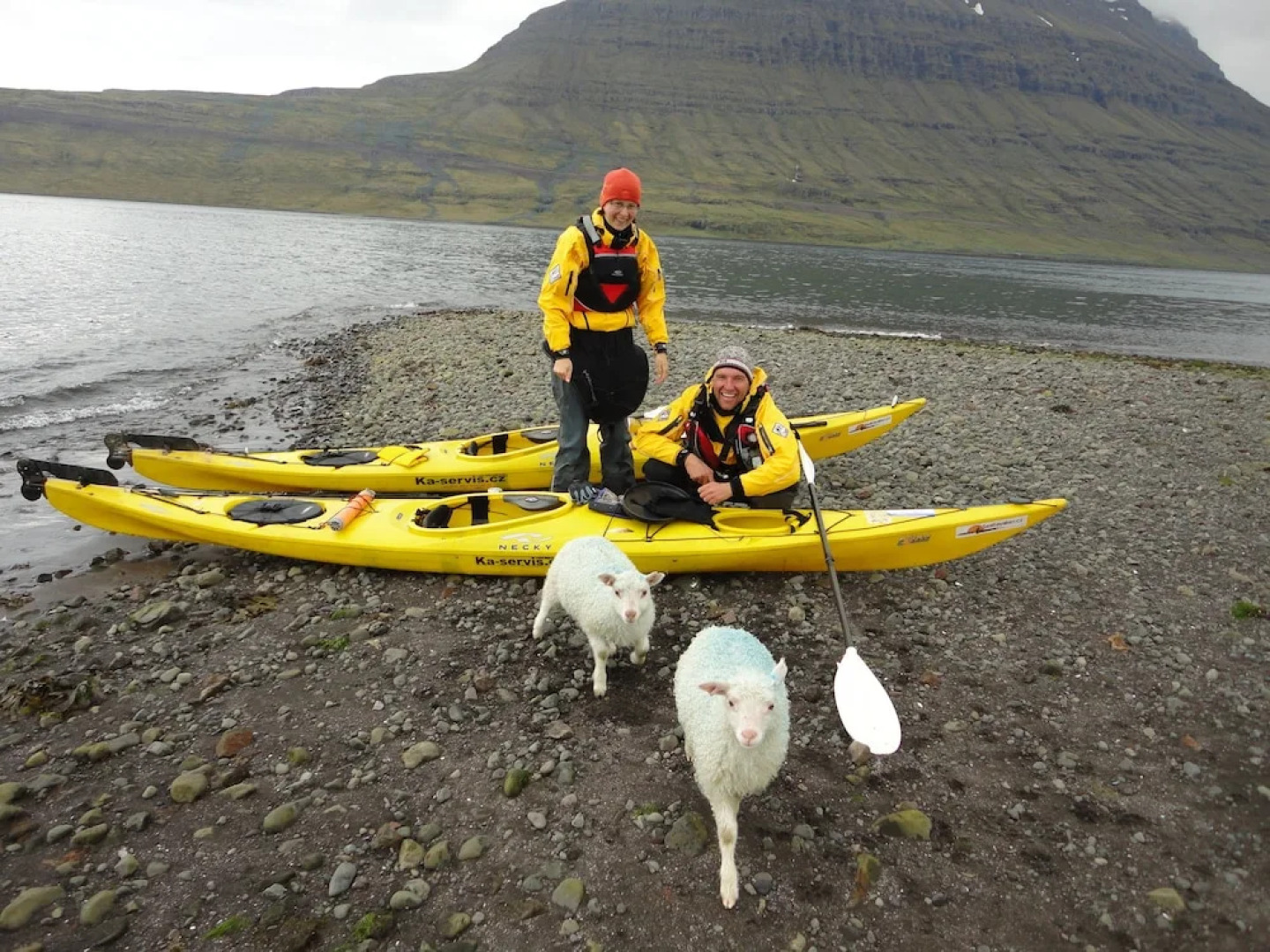Mjóeyri Travel holiday homes