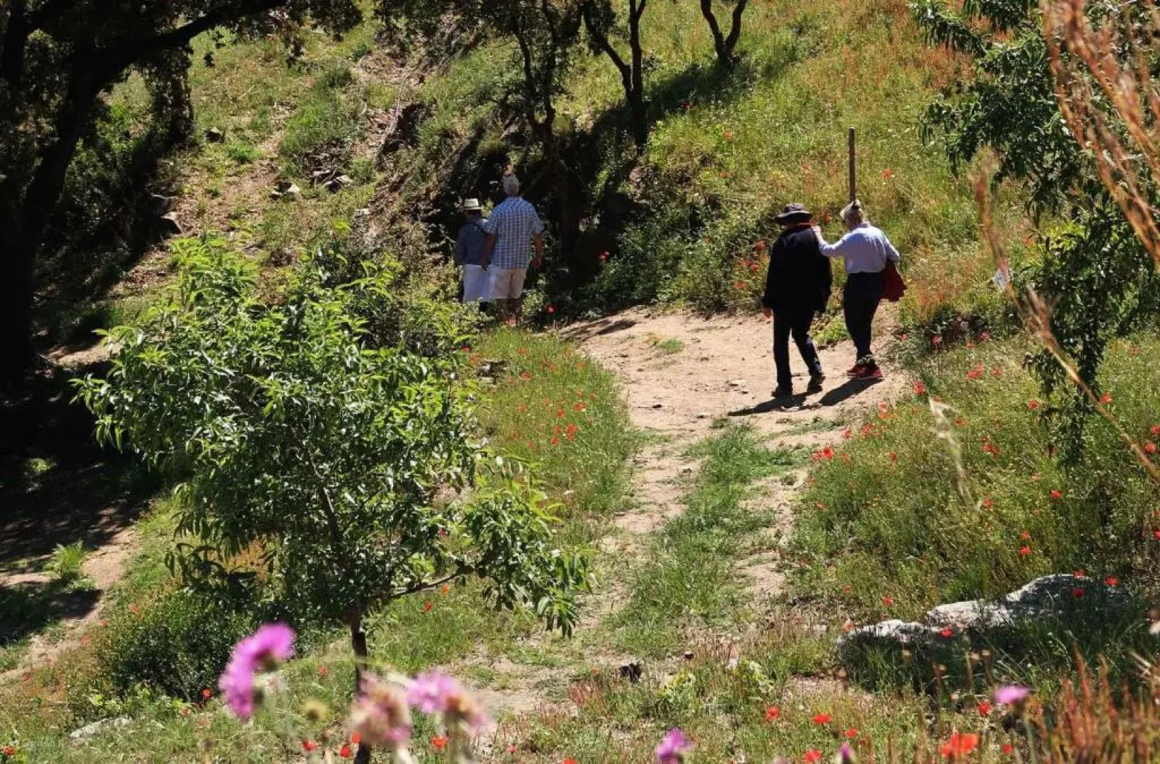 Résidence Les Cyclades