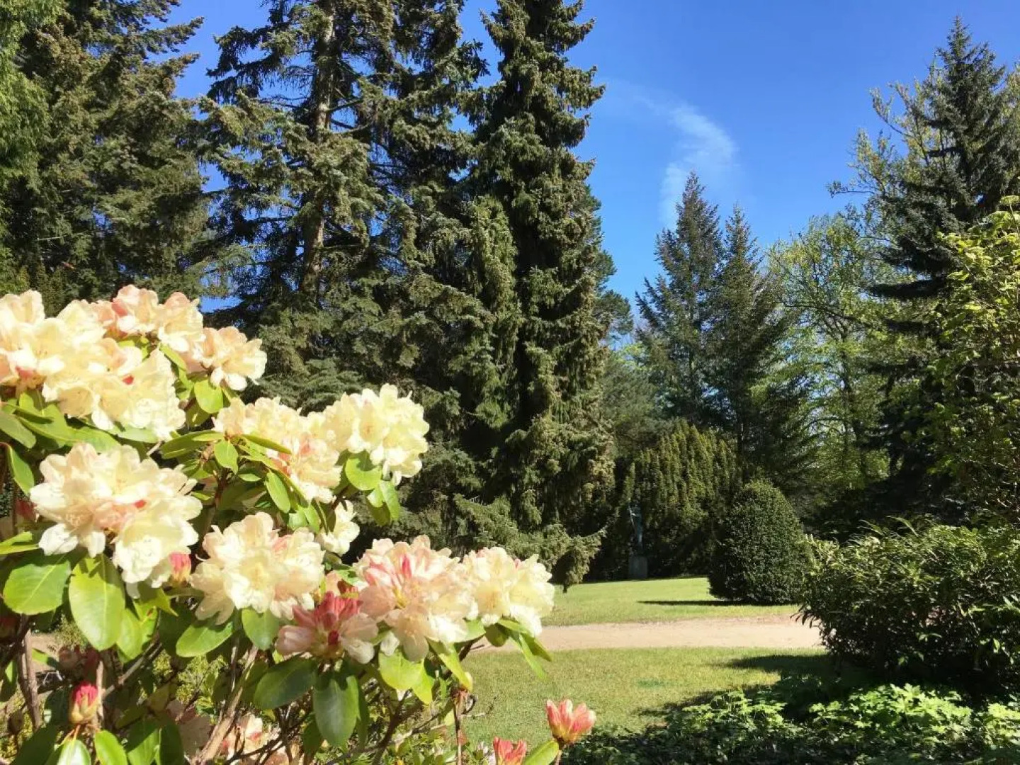 Residenz Bleichröder - Ferienwohnung Teja