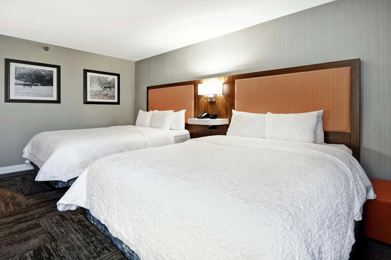 Hampton Inn I-75 Lexington/Hamburg Area