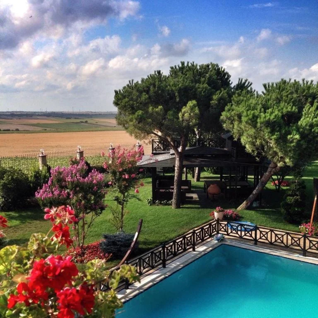 Grandma's Wonderland