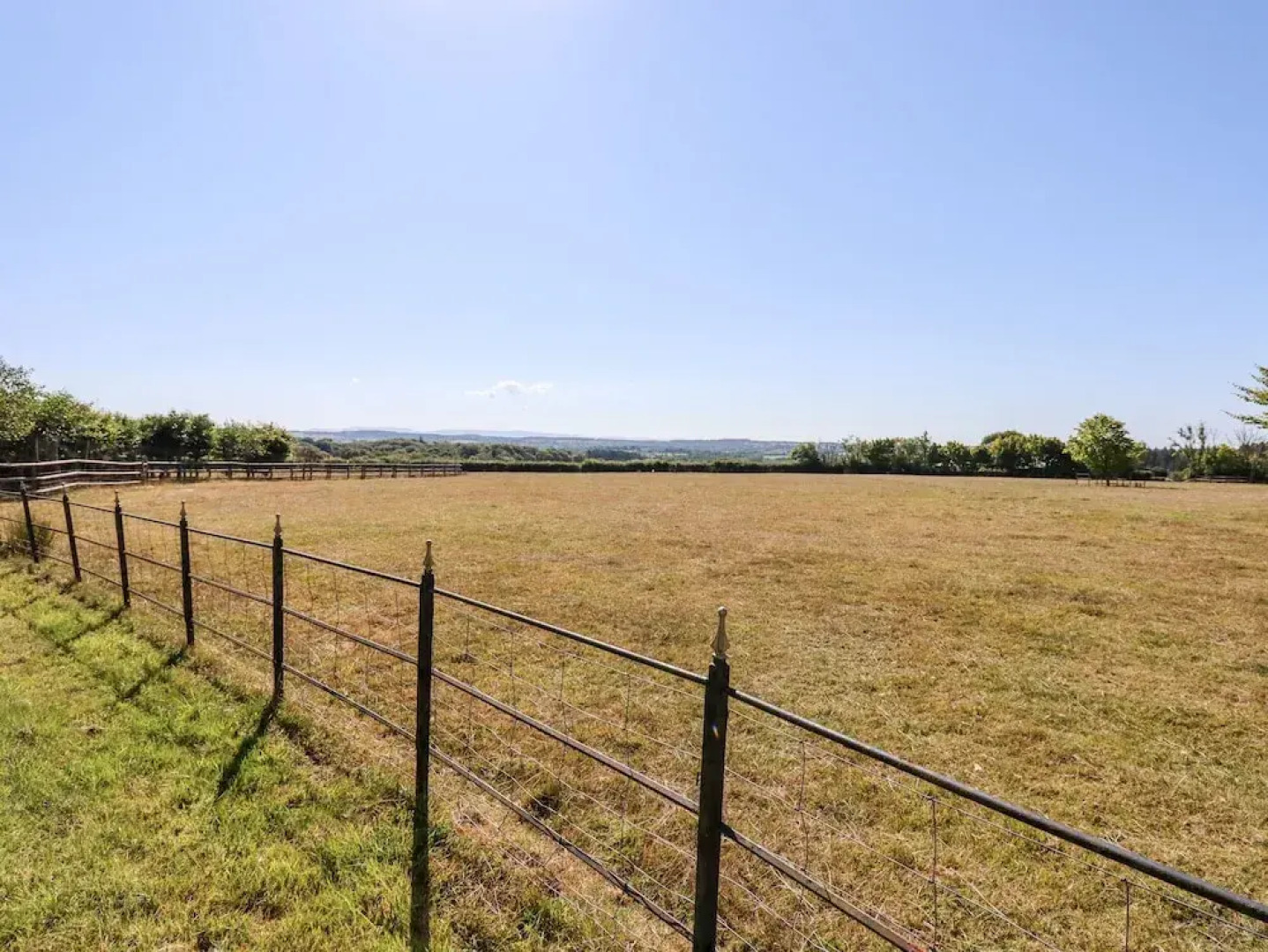 Little Rowan at Rowan Park Farm