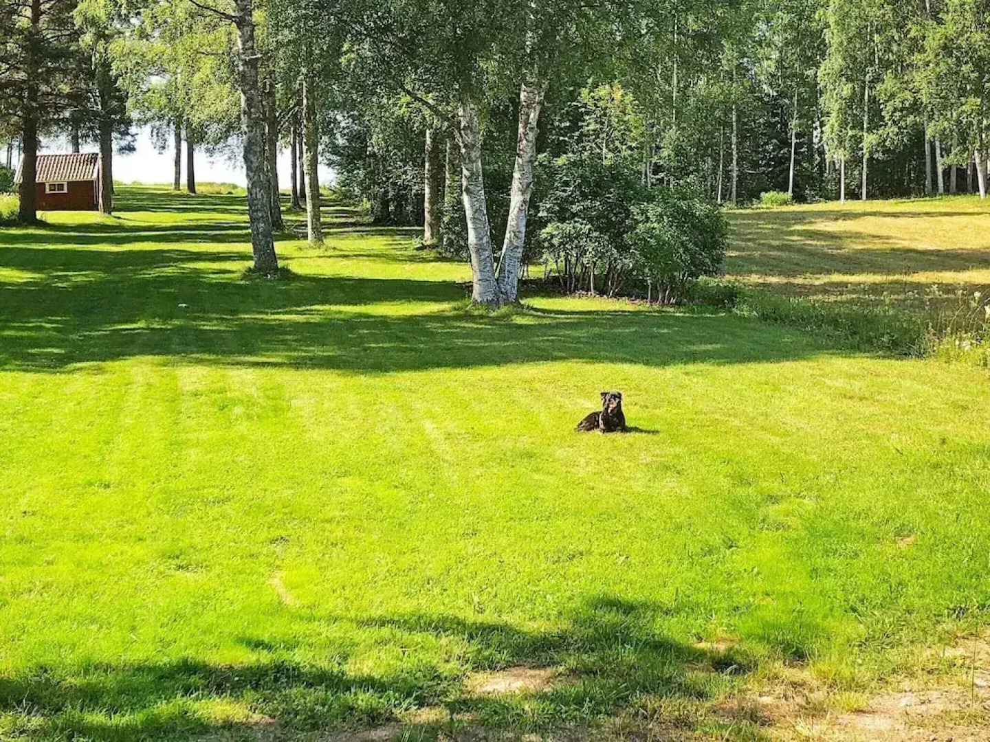 6 Person Holiday Home in Rattvik-by Traum